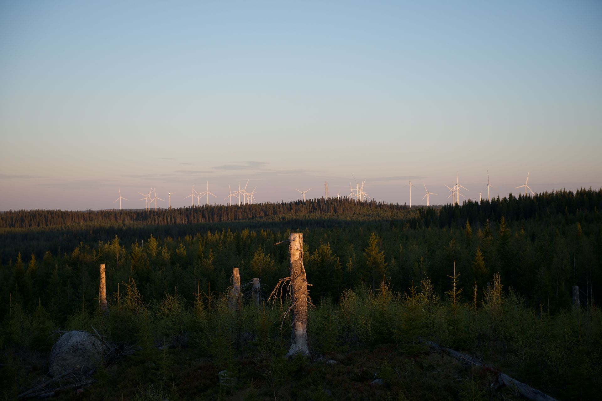 Vindkraft i Jämtland. Foto © donerat till Motvind Sverige.